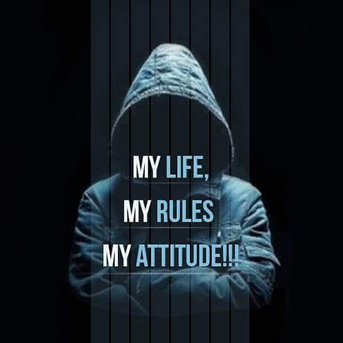 My life My Rules DP