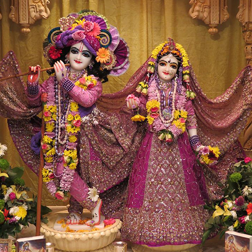 Radha Krishna Dp