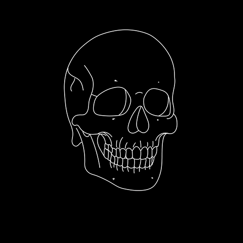 Skull Dp