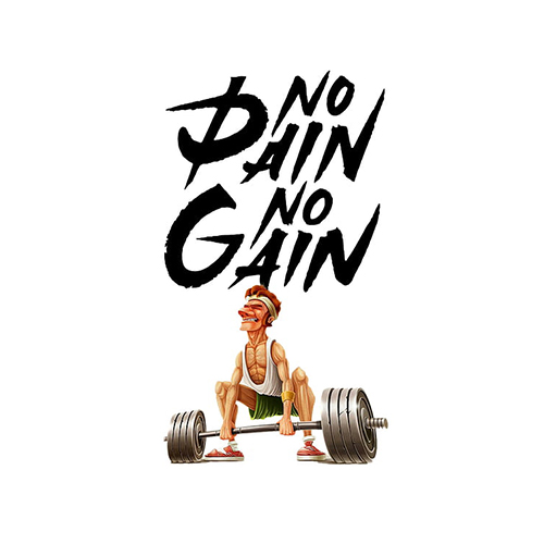 no pain no gain image