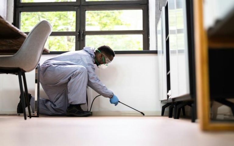 Seasonal Pest Control Strategies for Huntsville Residents