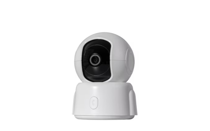 IP Cameras