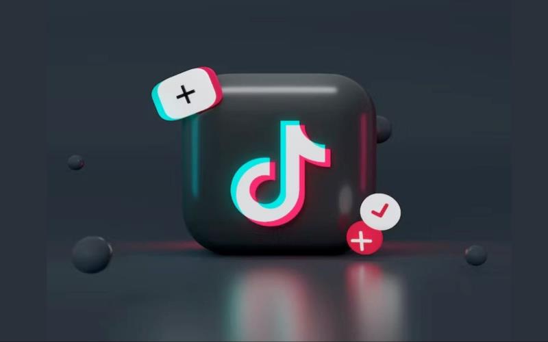 Interesting Information You Need to Know Before Purchasing TikTok Likes