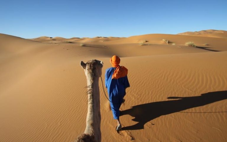 Top 5 Unique Experiences Curated by Morocco DMCs