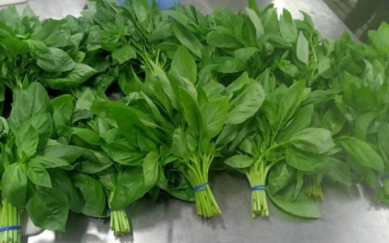 Wholesale