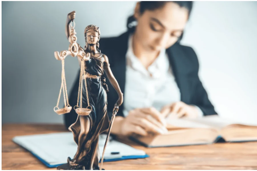 Online Immigration Lawyer